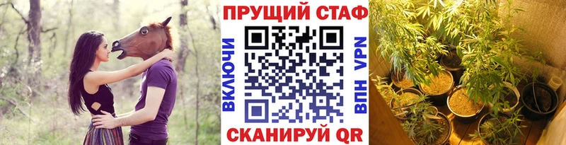 Сколько стоит Медынь Марихуана Альфа ПВП ГАШИШ Меф мяу мяу COCAIN