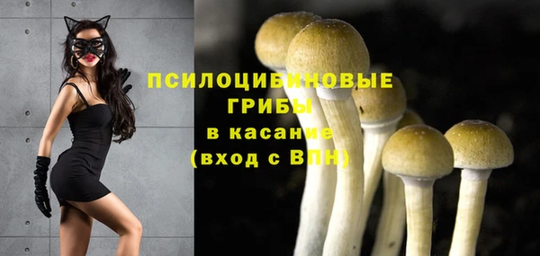 дживик Армянск