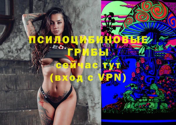 дживик Армянск
