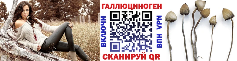 Галлюциногенные грибы Magic Shrooms Медынь